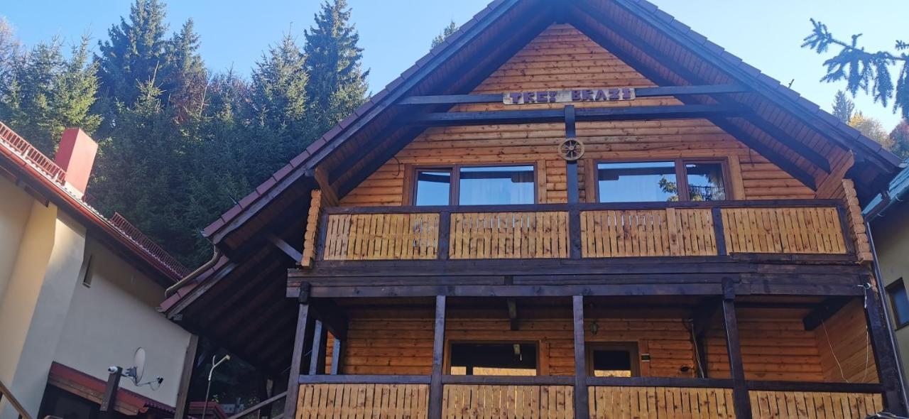 Cabana "Trei Brazi " Retezat Rîu de Mori Eksteriør billede