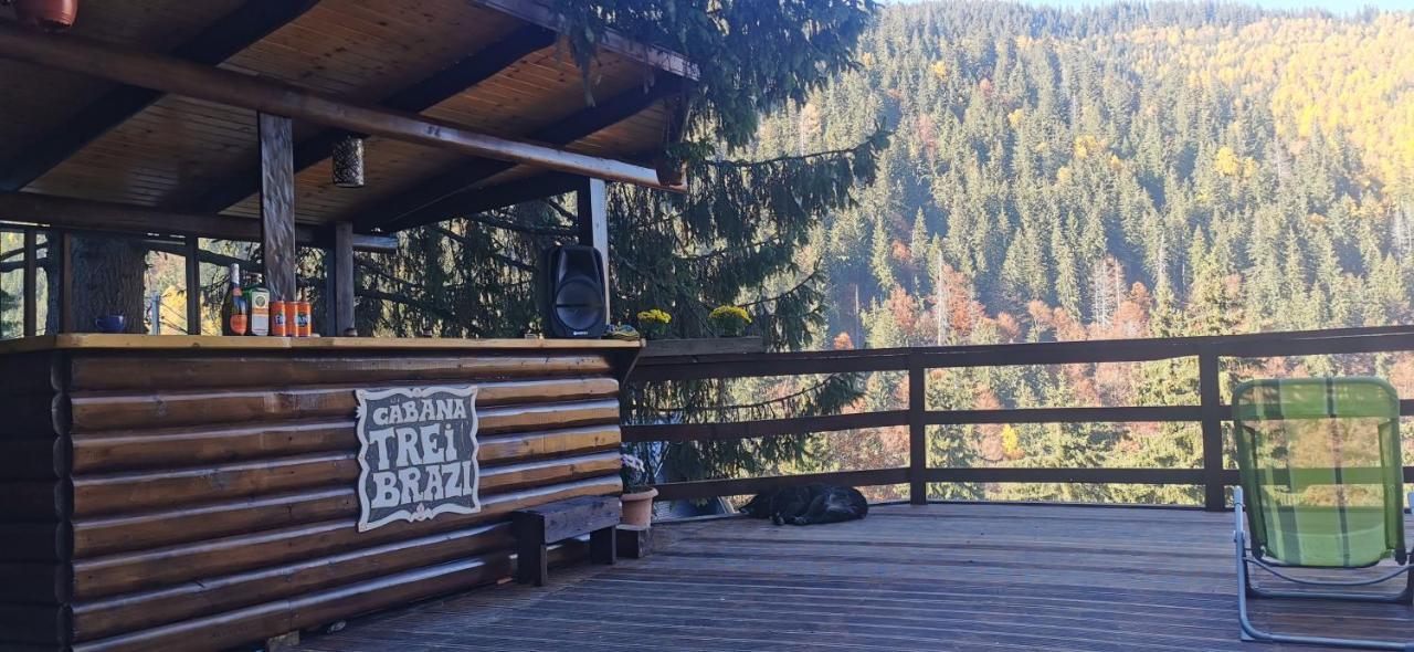 Cabana "Trei Brazi " Retezat Rîu de Mori Eksteriør billede